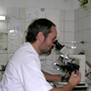 Dr. Luis Buscemi